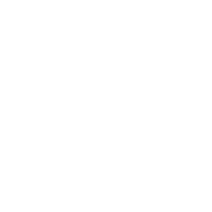 bulldots-logo-TRUST-white